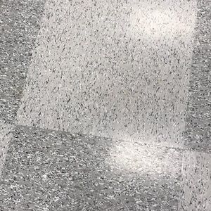 Meet your Posher, Dora